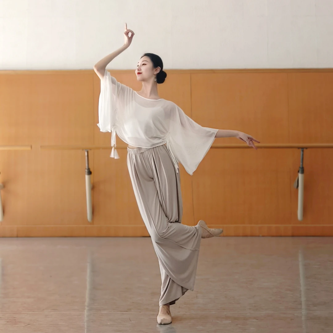 古典舞身韵飘逸宽松吊坠网纱罩衫上衣形体现代舞蹈练功服中国舞