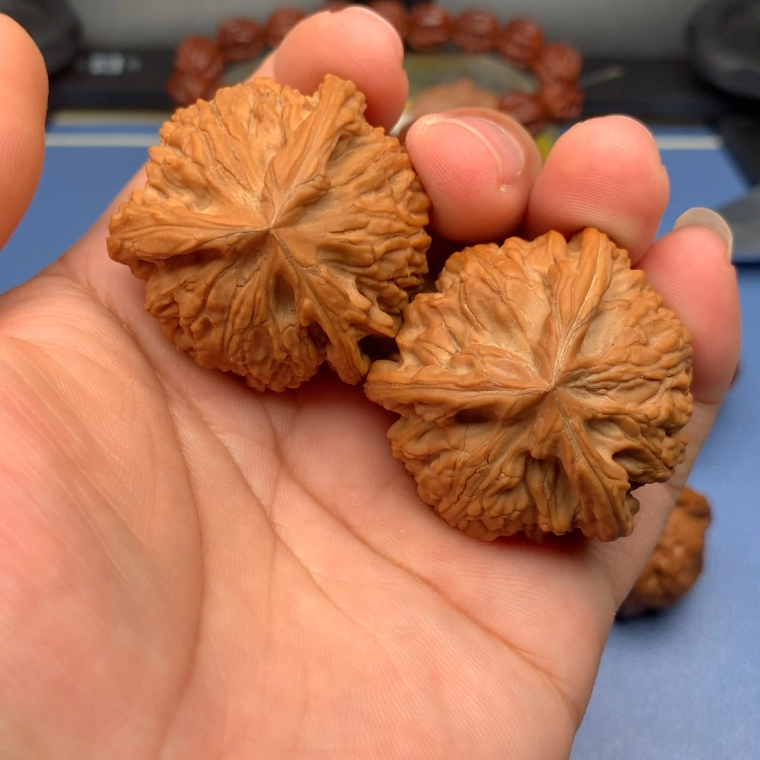 三***叶文玩核桃把件御龙奔