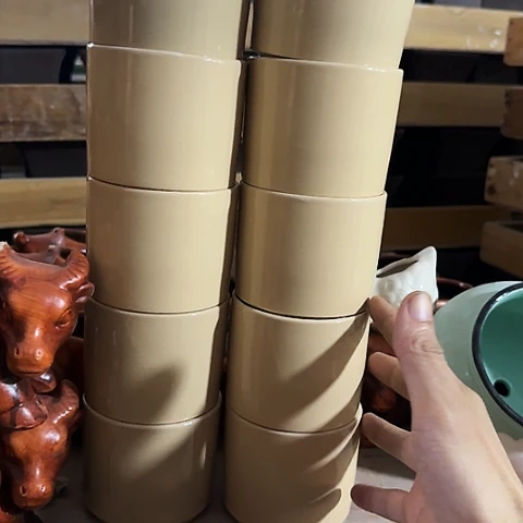 10个····全是福利····