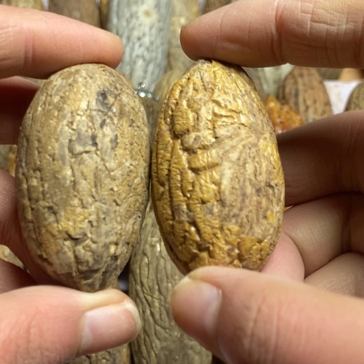 苯***明吊坠千眼菩提菩提