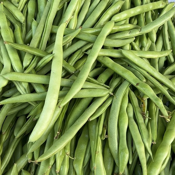云南农家四季豆3斤