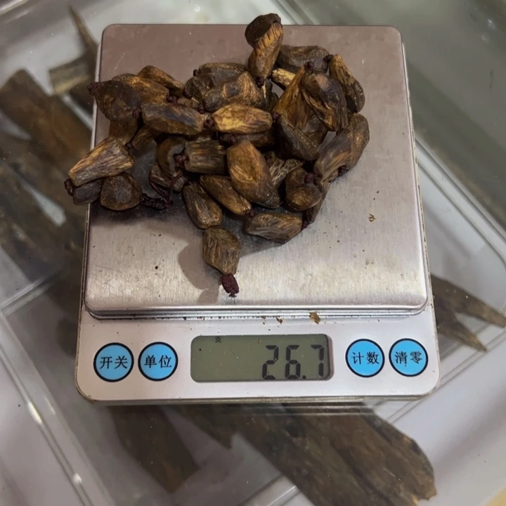 蓬***沉香沉香碎屑透顶绿老料26克