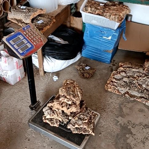 一物一拍一物一发