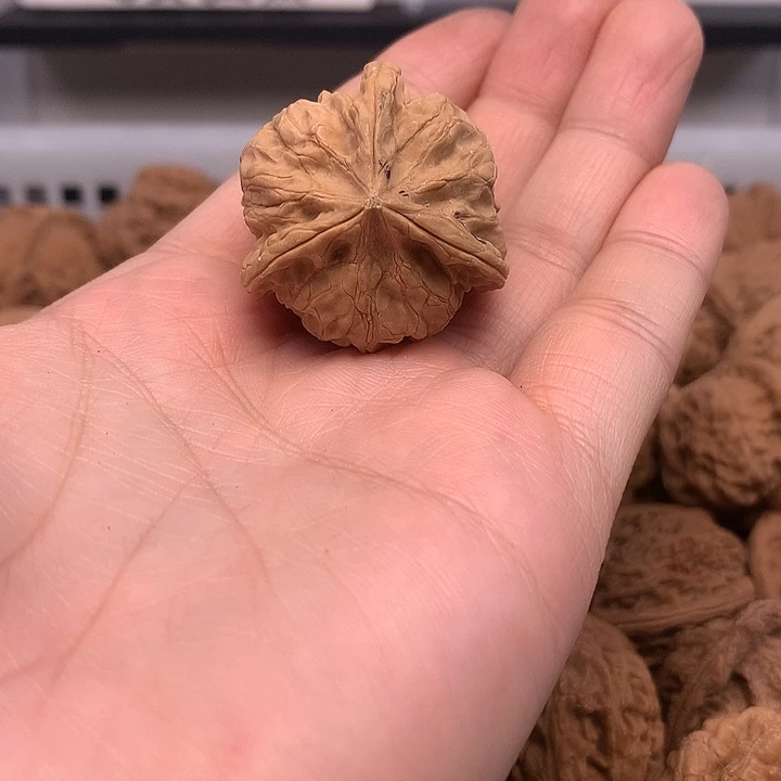 杨***六吊坠文玩核桃文玩核桃