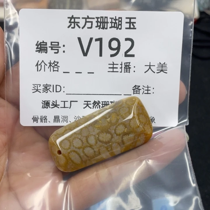 芦***涧硅化珊瑚（珊瑚玉）合金颈饰