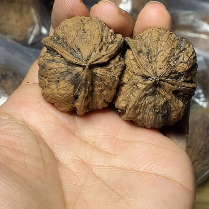 文玩核桃把件云南铁核桃89