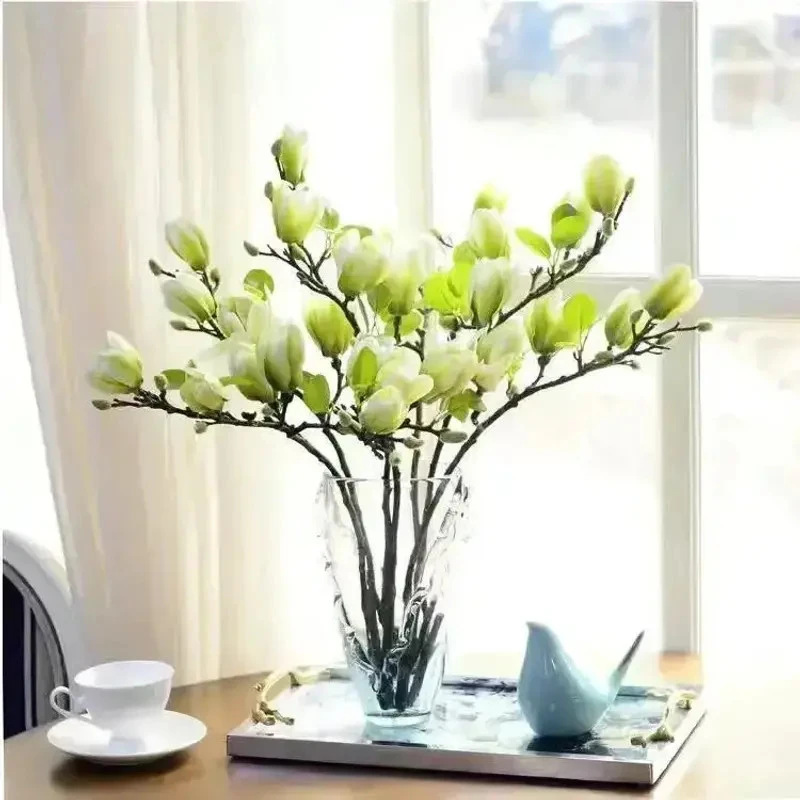 【遇水开花】水培玉兰花卉室内水培客厅办公室内鲜切枝条桃花绿植商品图