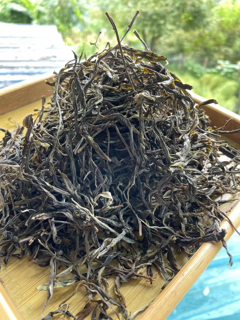 临沧荒野小高杆头春头采云南高山普洱茶生茶百花香高甜古树散茶
