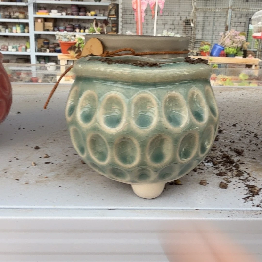 暴***花蜂窝花盆多肉植物中小惊喜