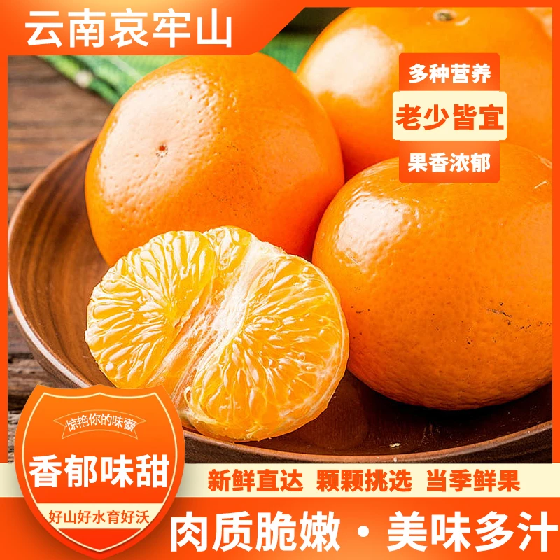 云南高原沃柑精选纯甜不打蜡新鲜水果沃柑5斤10斤新鲜果园直发