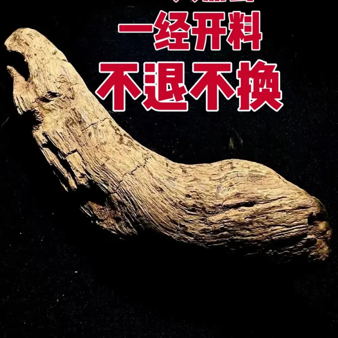 沉香四川大凉山高山天然野生乌天麻自然晒干无熏硫煲汤必备