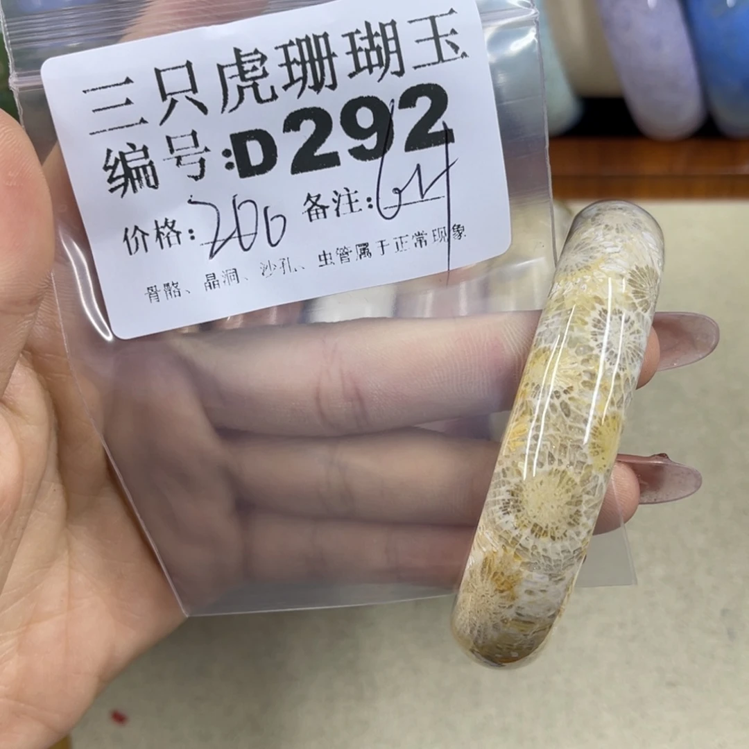 小***鱼硅化珊瑚（珊瑚玉）h未镶嵌