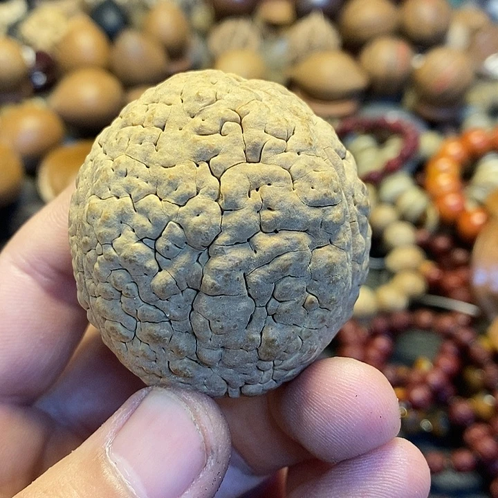 吊坠橄榄核张*文化交流