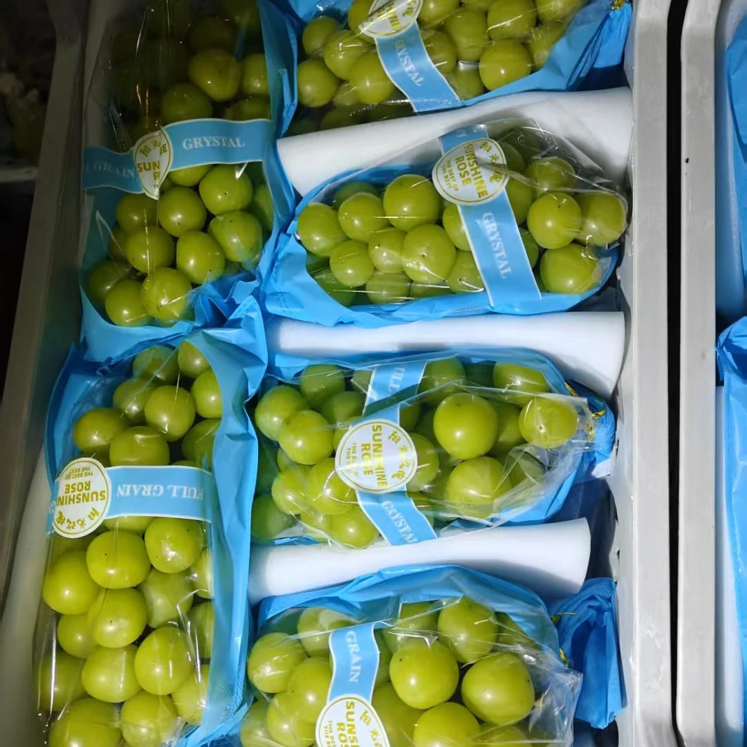 阳光玫瑰青提（纯甜）1串，约1kg左右山东省