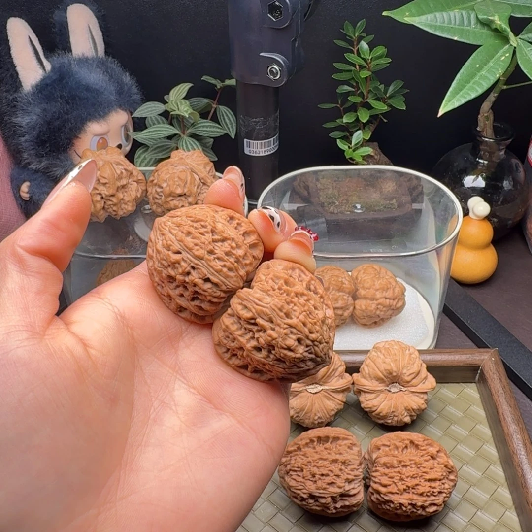 把件龙脊菩提全品三角密纹38