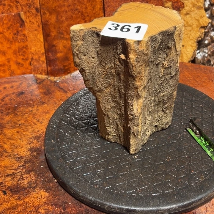 大果紫檀（缅甸花梨）