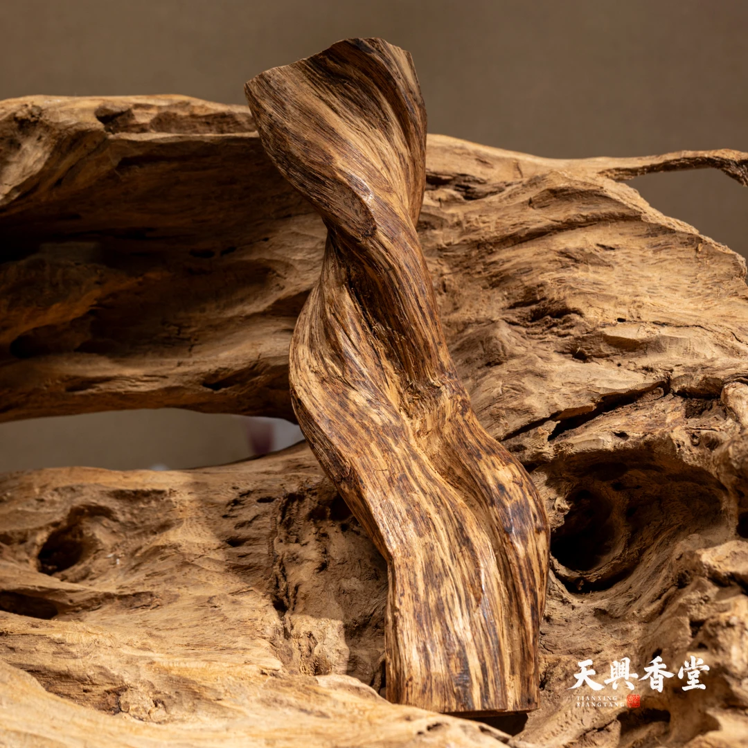 【典藏尖货】海南黄熟香虫蛀根部纽结沉香原料66g 关注播播间