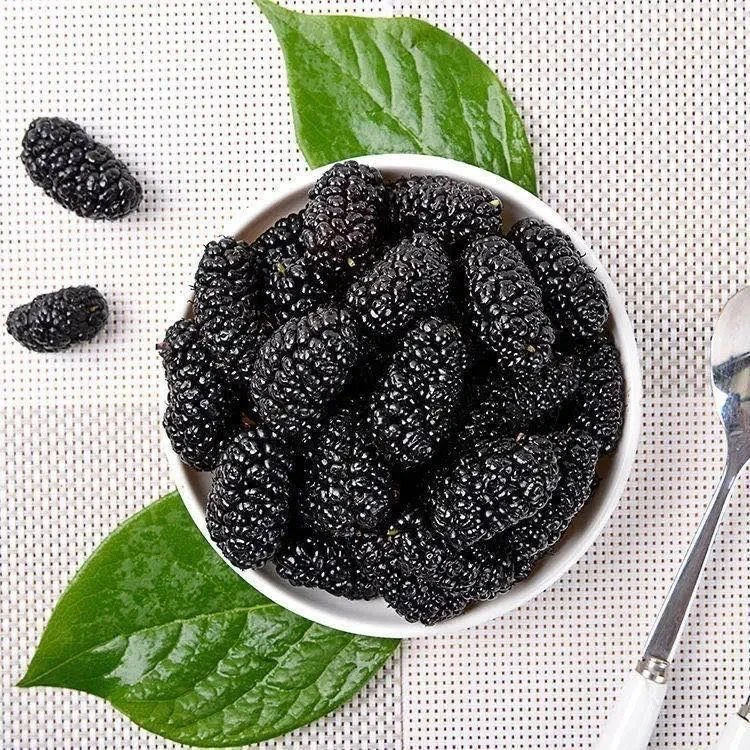 佰珍沐源精选优质桑甚干