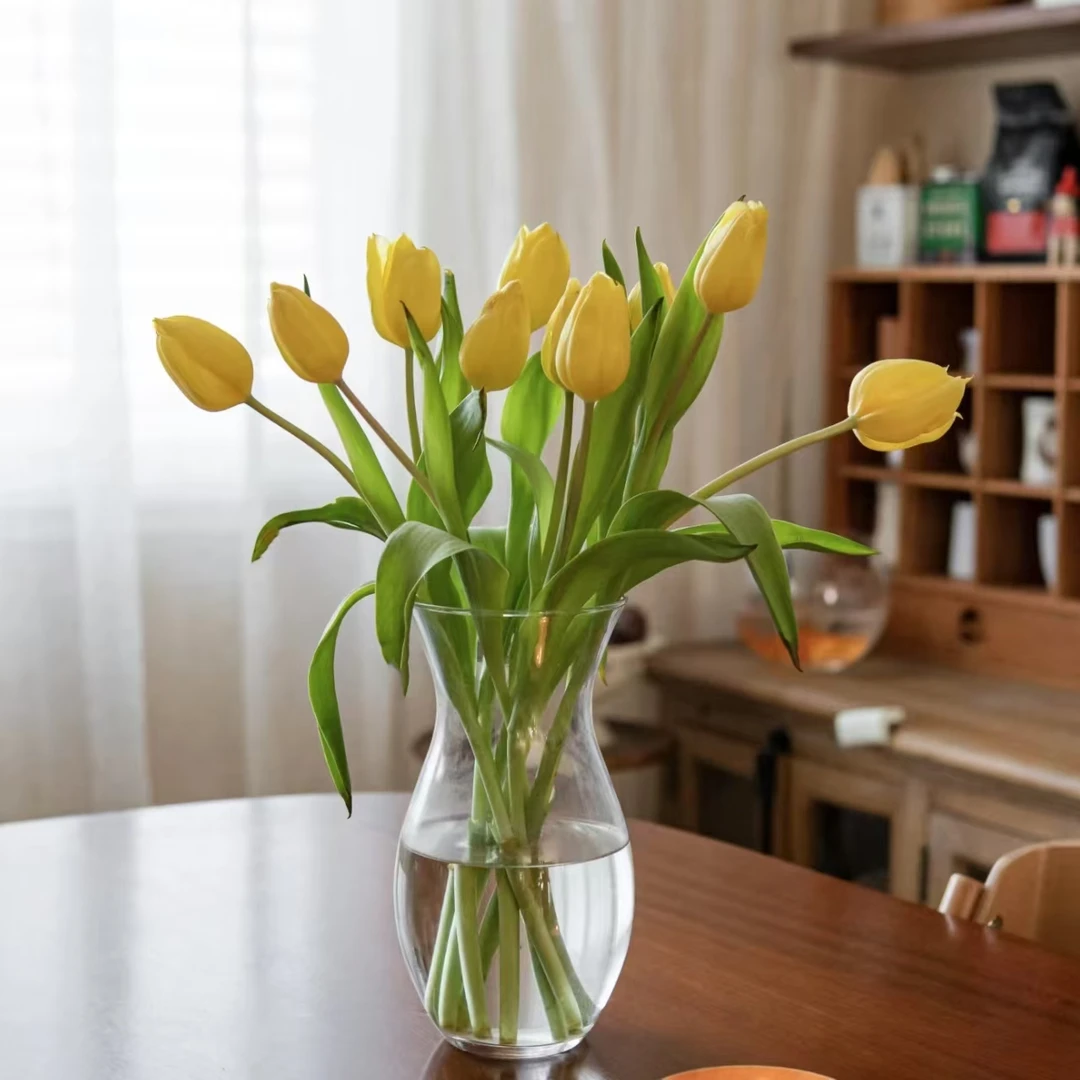 [海盛] 10枝海盛黄金郁金香小花苞20cm会长个【两单顺丰或京东】