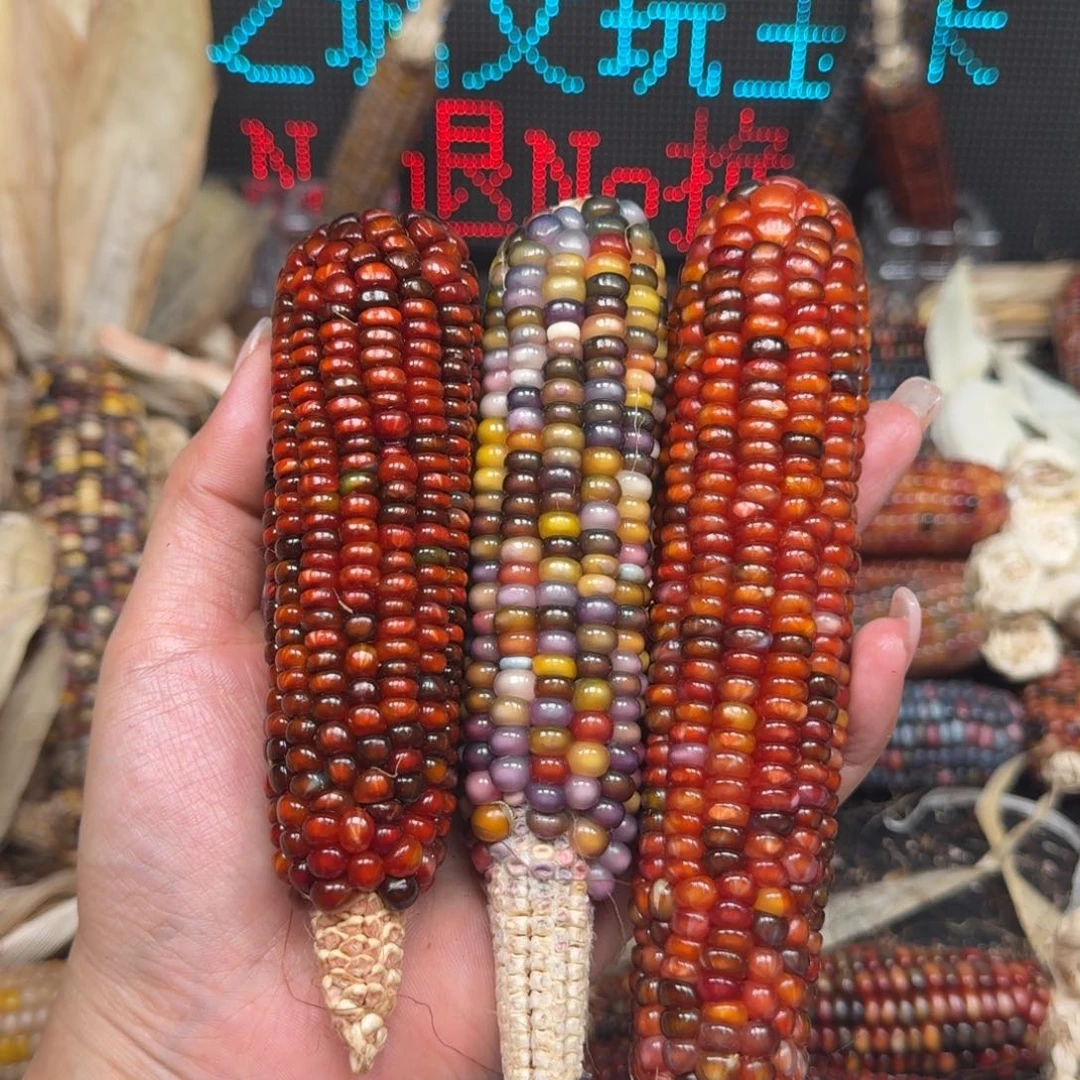柏香籽/百香籽吊坠于*果