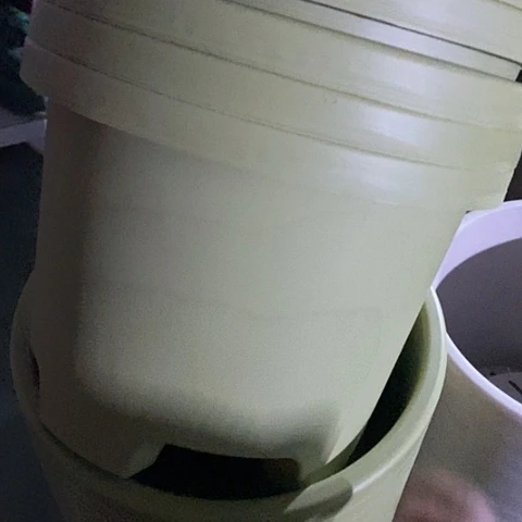 树脂球根32口径5个无托果绿