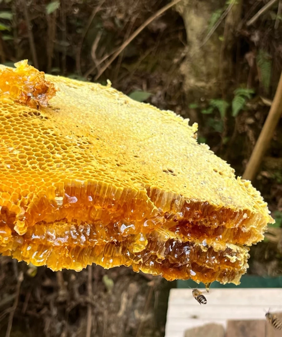 贵州农家高山土蜂蜜纯天然农家土蜂蜜自产自销