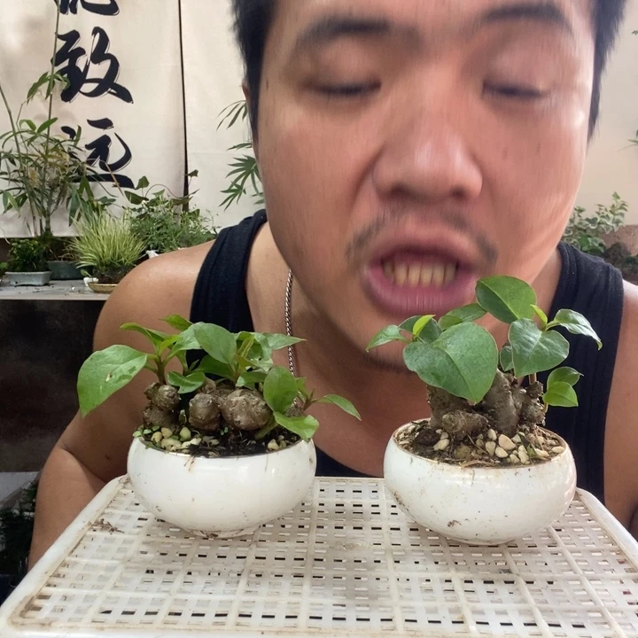 洁****无花朵退款拉黑拉黑290