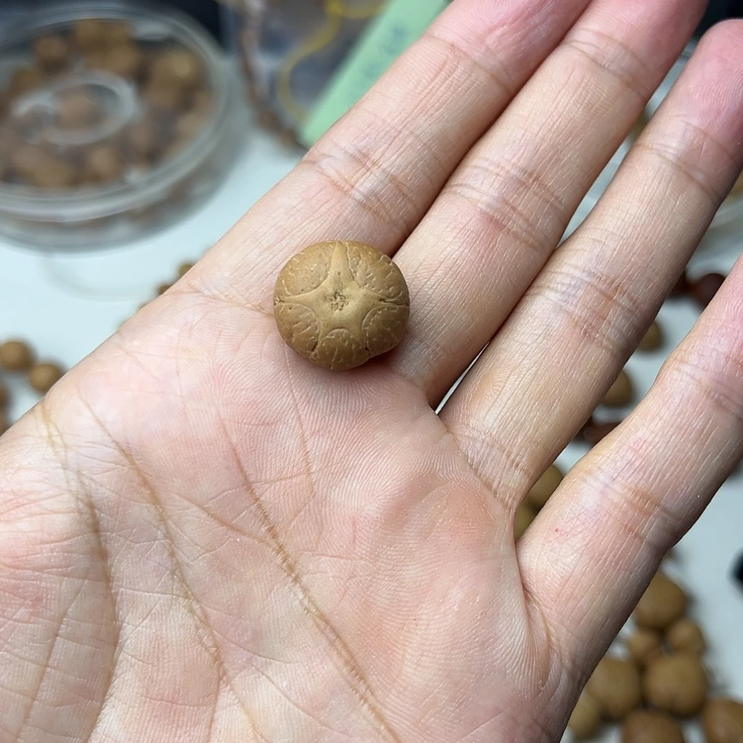 凤眼菩提手串H*m五星三通