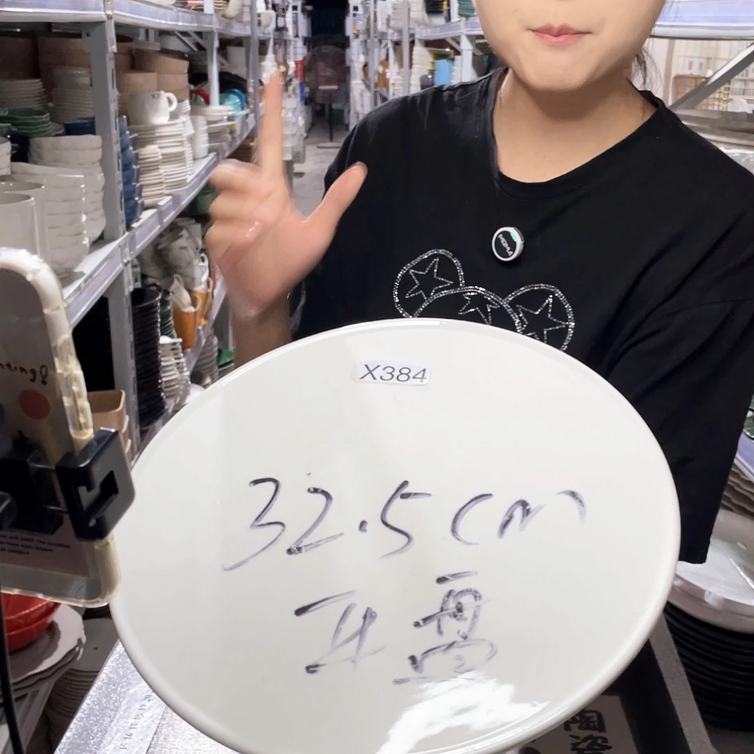 瓷片384              1个