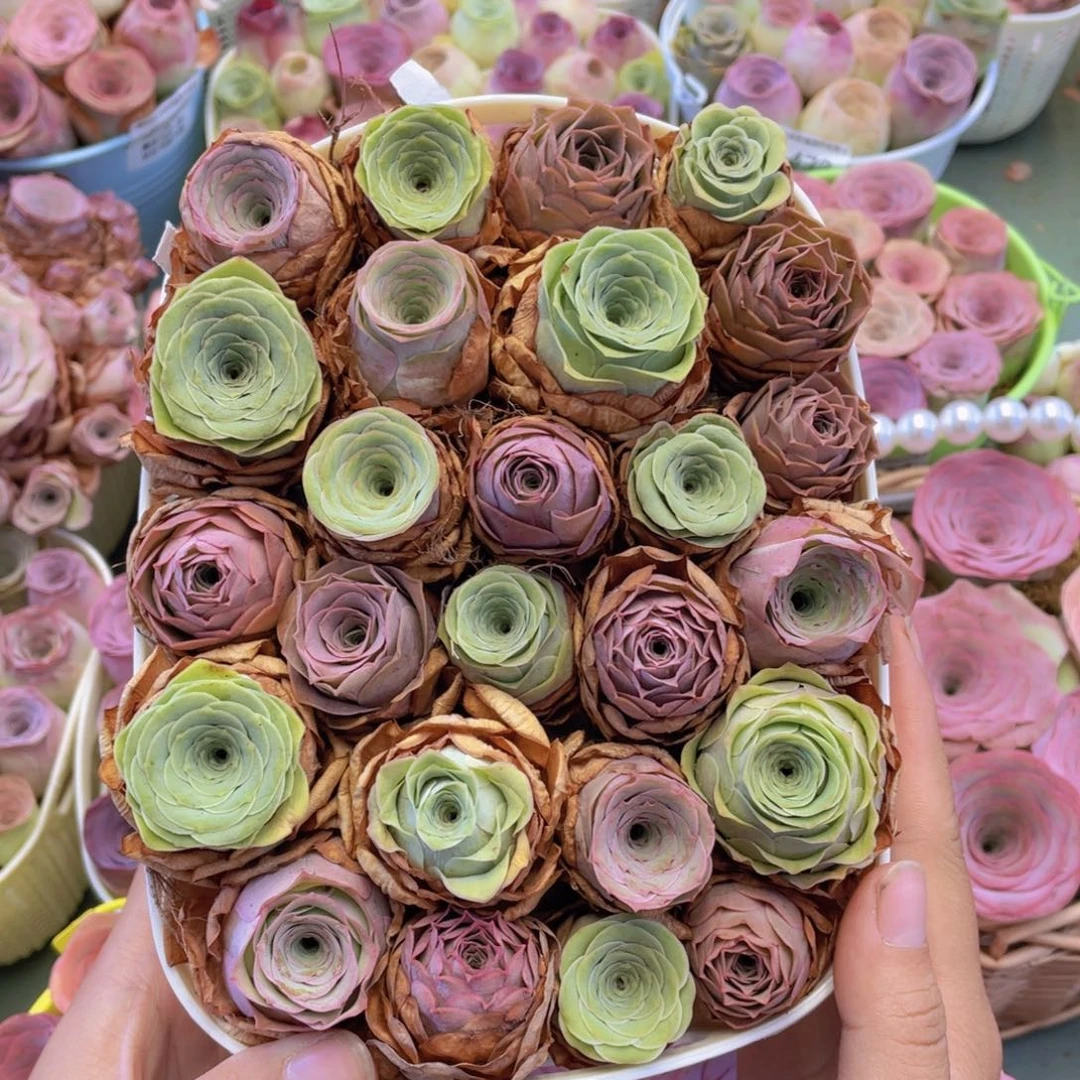 山地玫瑰花篮组合J457