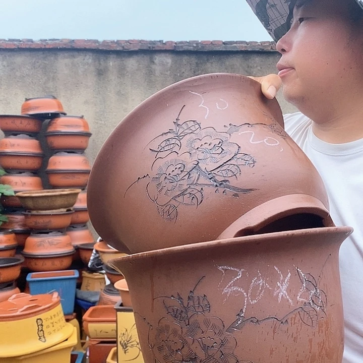 紫砂花盆盆栽观赏