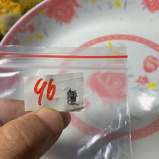 人***过瓷片我想知道你们现在