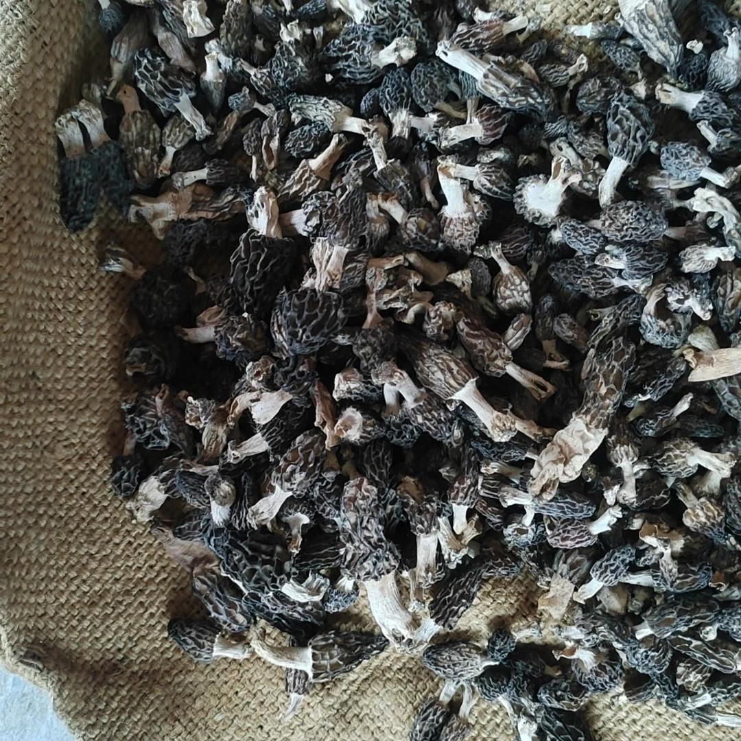 甘肃深山羊肚菌干货营养美味性价比高，适合煮火锅，炖鸡汤，炖肉，