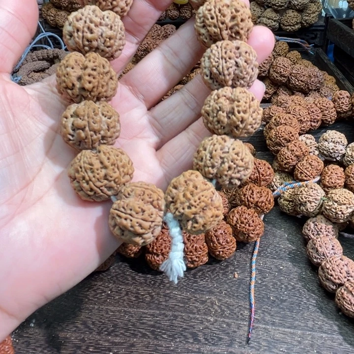 苍***龙金刚菩提手串梅花