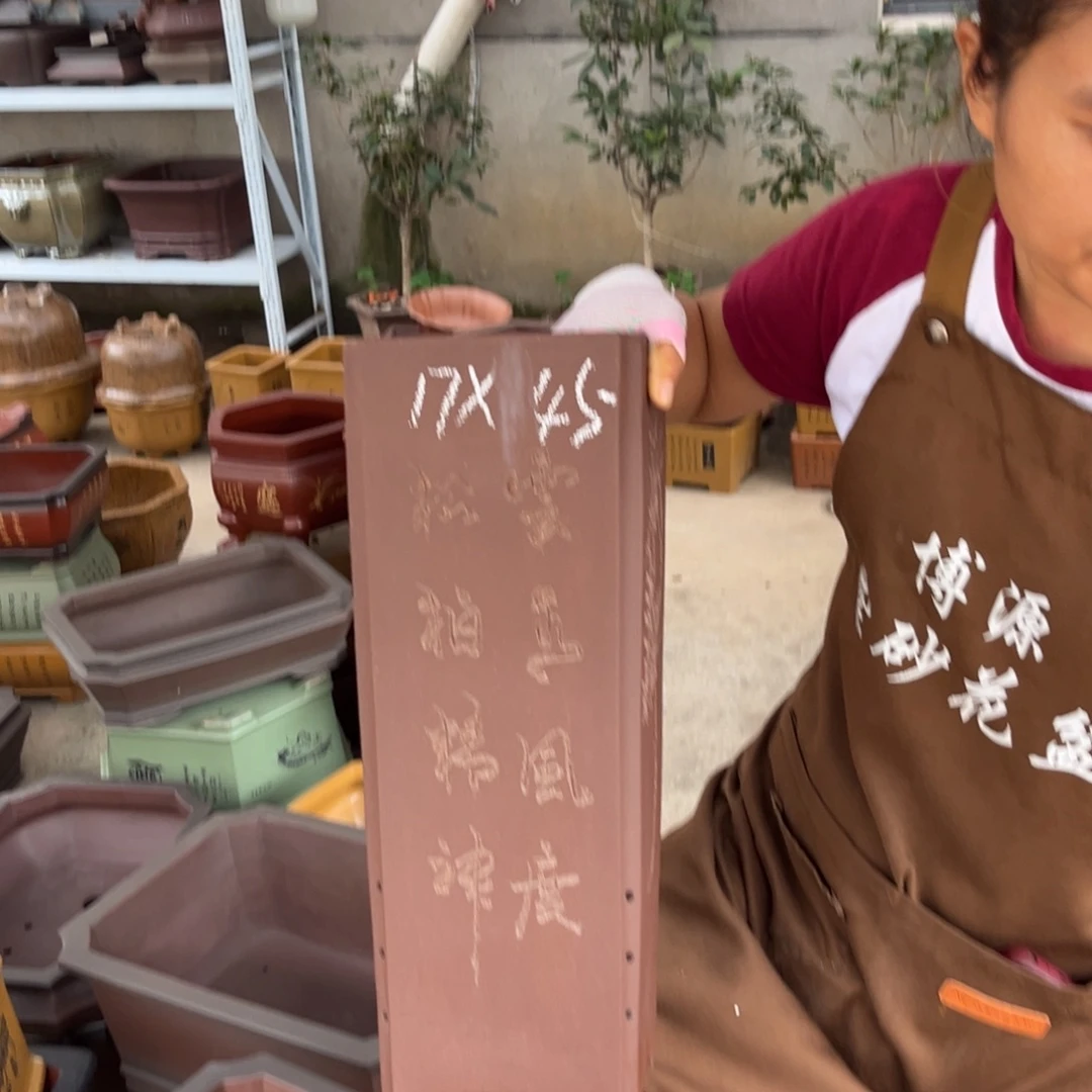 紫砂花盆盆景艺术