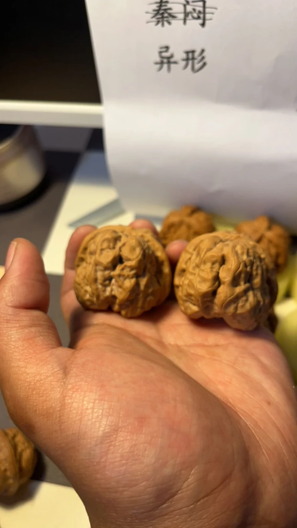 延庆一代蛤蟆头大尺