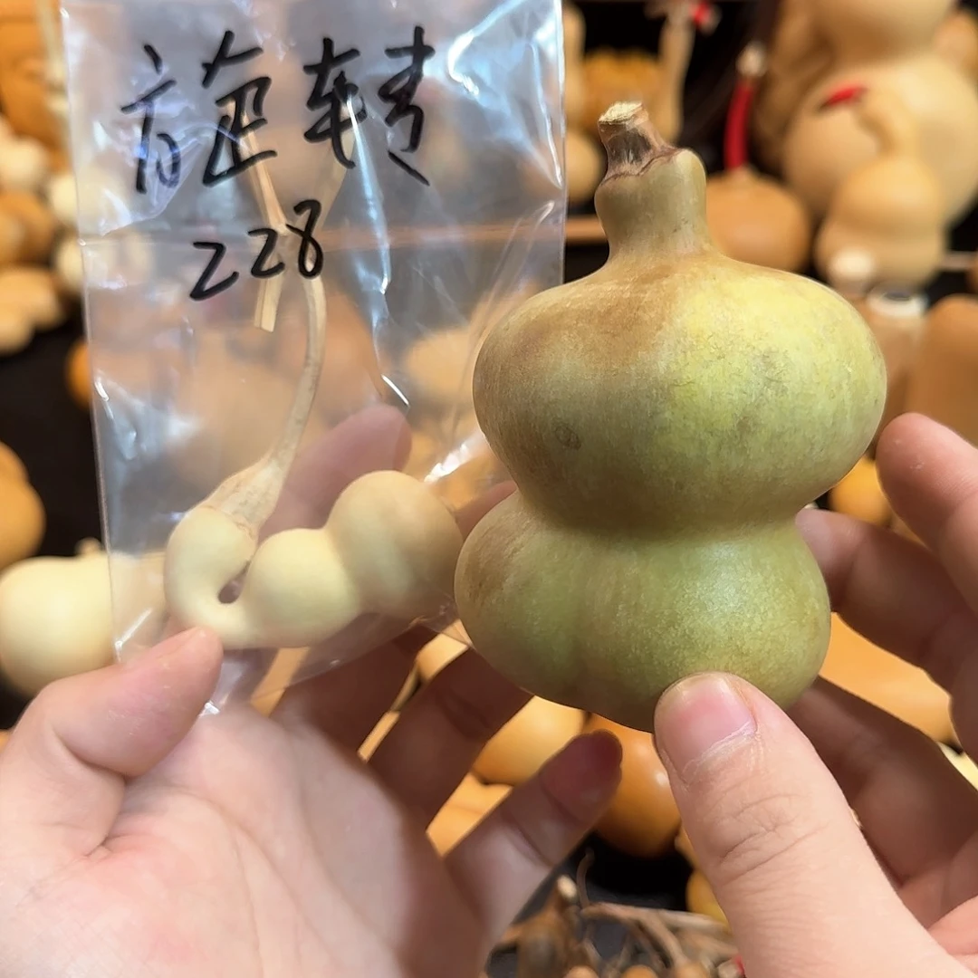 旋*2222222222222222