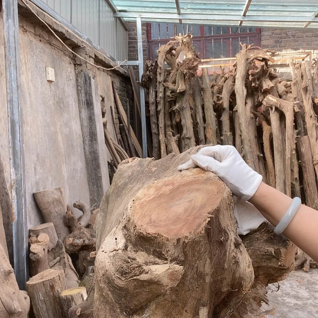 兆*太行的太行太行