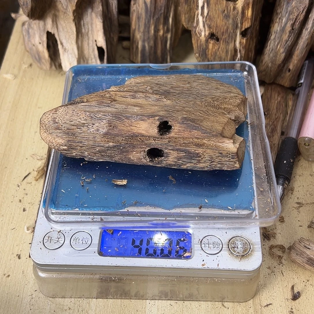 香料绿奇楠虫漏40克乌身