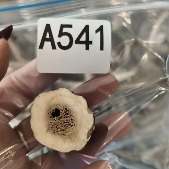 邵***信鹿角鹿角鹿角鹿角鹿角