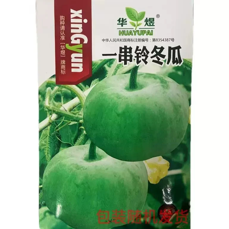 一串铃冬瓜种子早绿庭院西瓜种植蔬菜种子