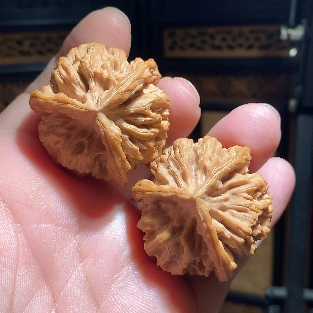 文玩核桃把件40秦岭狮子头三棱全品