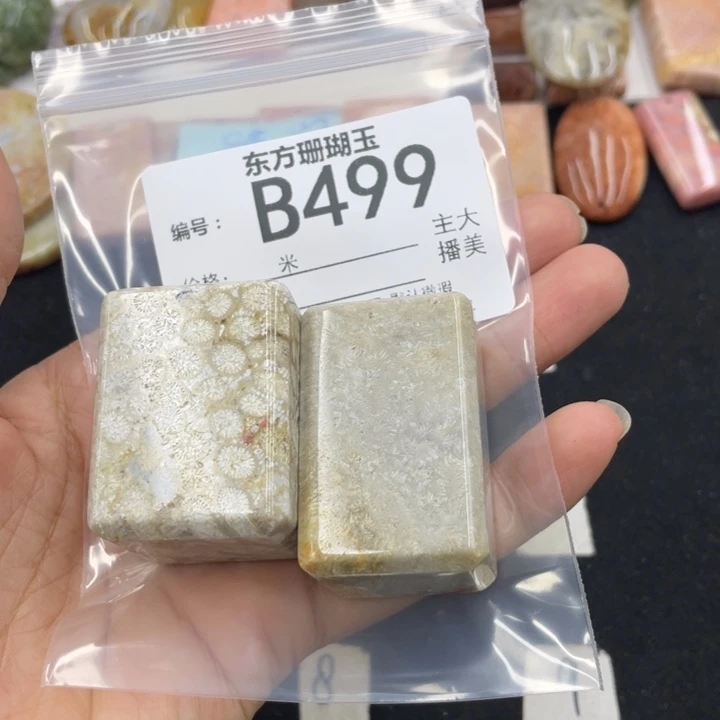 硅化珊瑚（珊瑚玉）颈饰合金鸿*雁