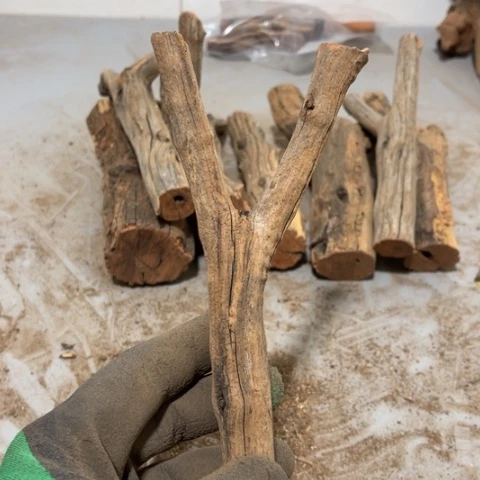 大果紫檀（缅甸花梨）夏*