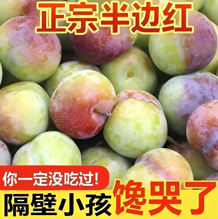 【现摘现发】四川正宗半边红脱骨茵红李新鲜现摘脆甜多汁应季水果