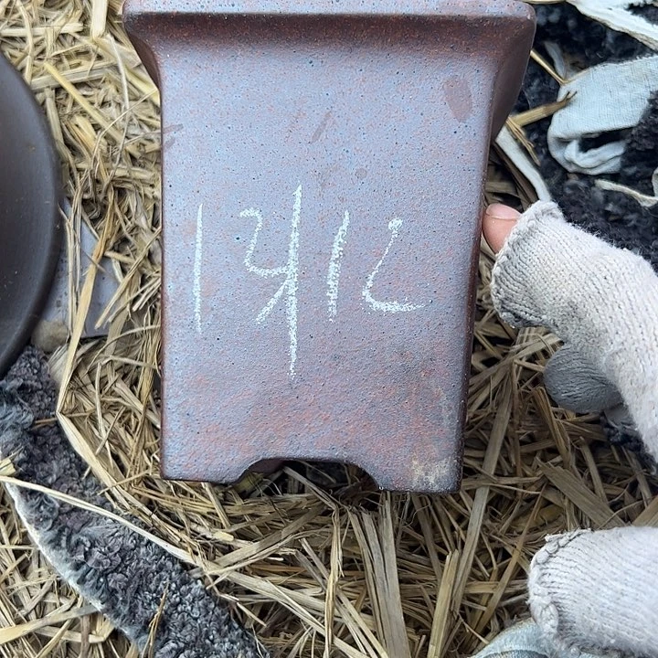 瑕疵吃吸血虫吃瑕疵吃