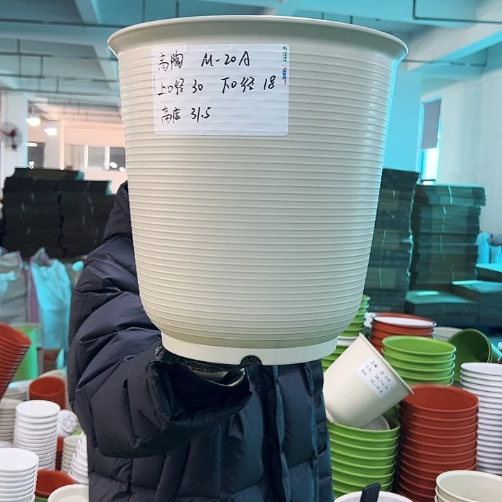 正品高陶口30高31米色无托3只