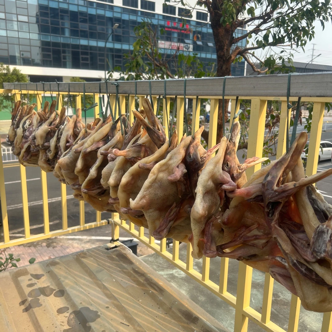 无品牌广东特产风干咸鸭腊农家手工腌制配料表简单腊肉鸭肉鸭子