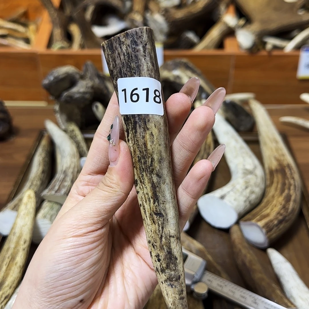 手串/手链鹿骨1618角尖