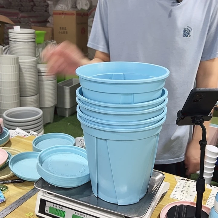 特价青山口24高24蓝色带托5只